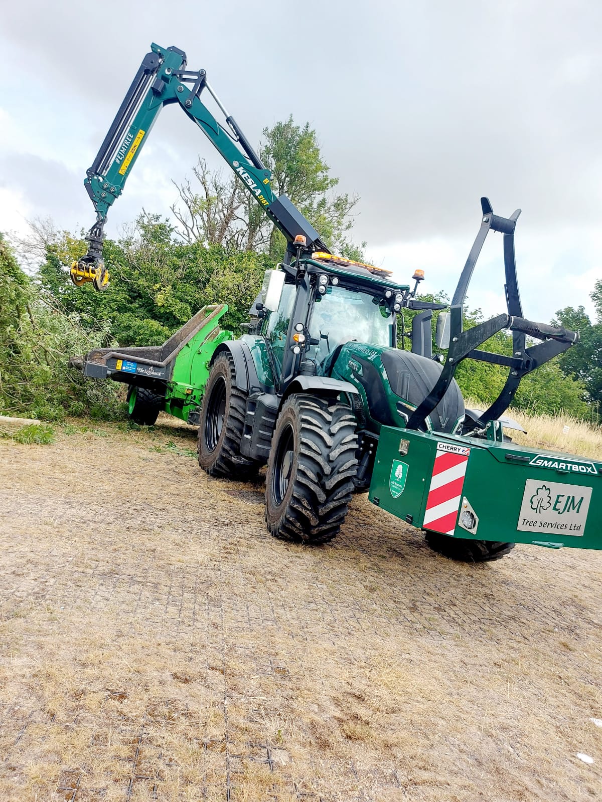 St John’s Marlborough EJM Tree Services Ash trees school Dieback